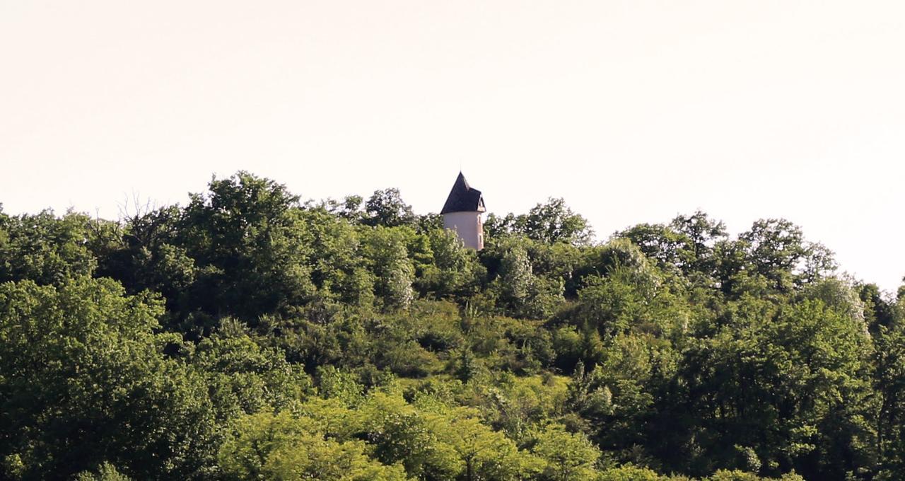Moulin De Rouzé Villa Castelnaud-de-Gratecambe Exterior foto